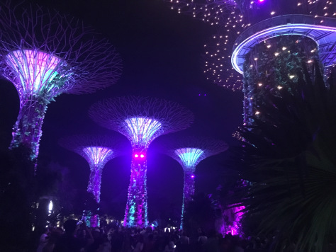 Gardens-by-the-bay-Singapore