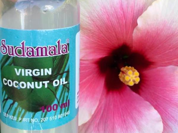 Le proprietà dell’olio di cocco