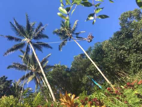 altalena-rice-terraces-bali