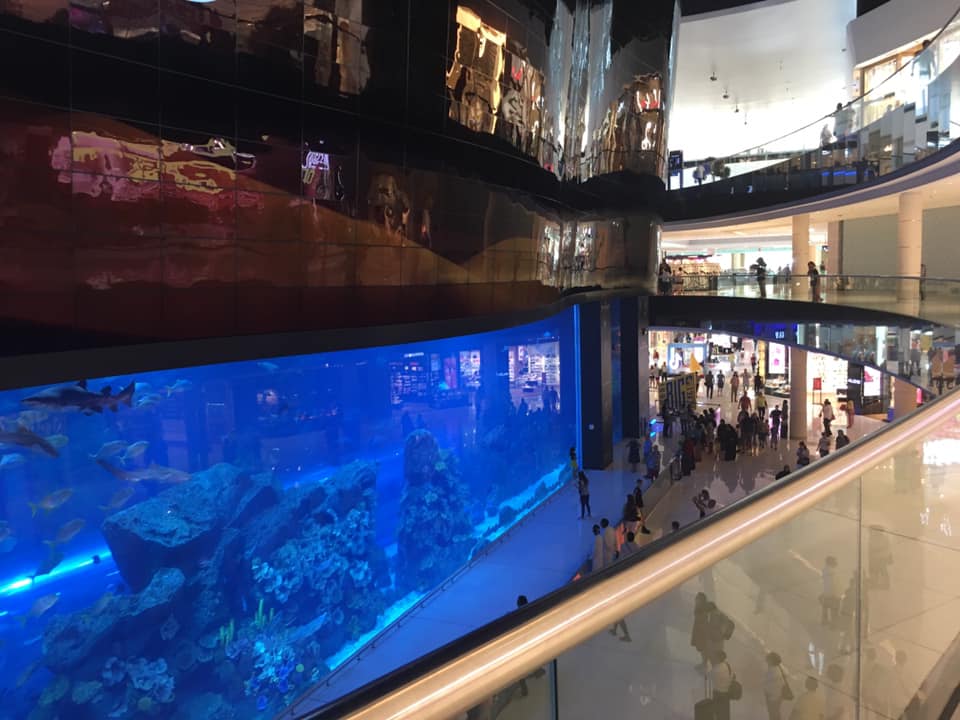dubai-mall-acquario