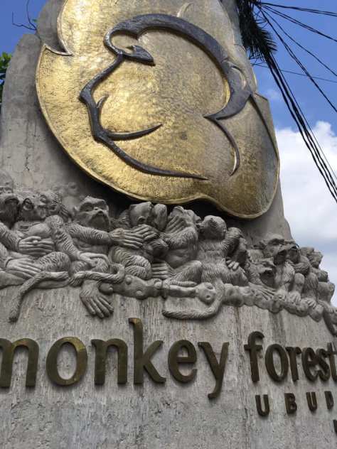 monkey-forest-ubud-bali