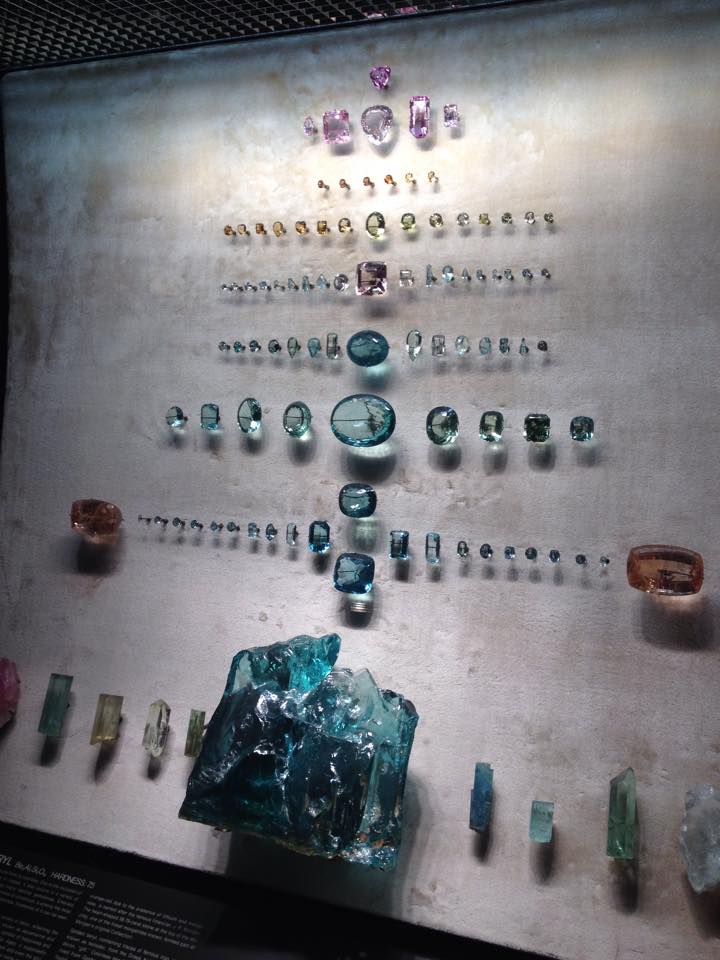 gemme-natural-history-museum