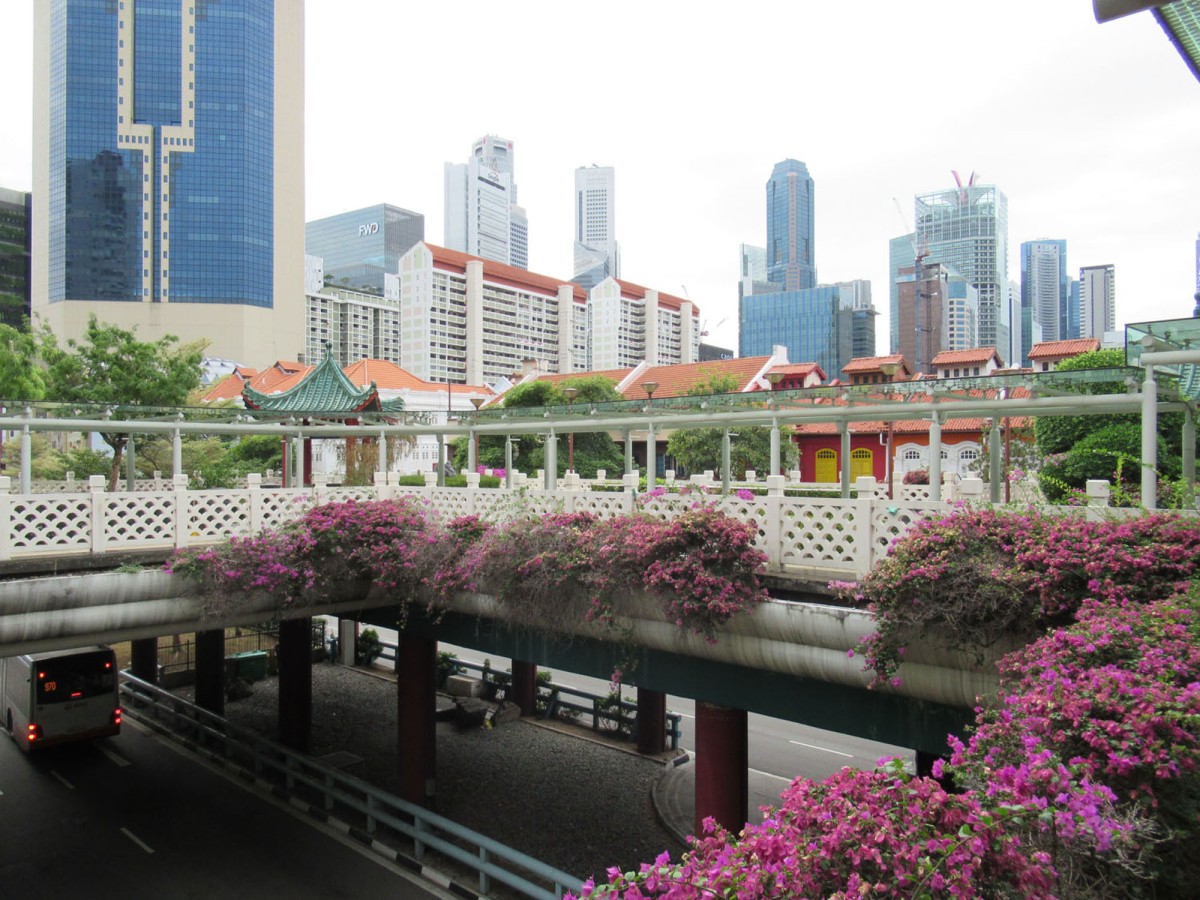Discovering Singapore III: Chinatown, CBD e Tiong Bahru