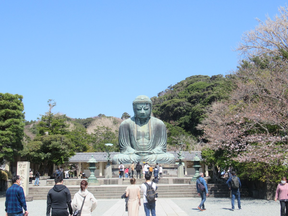 Kamakura, trekking nella foresta
