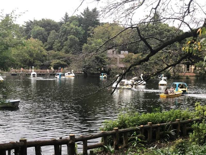 Kichijoji e parco Inokashira
