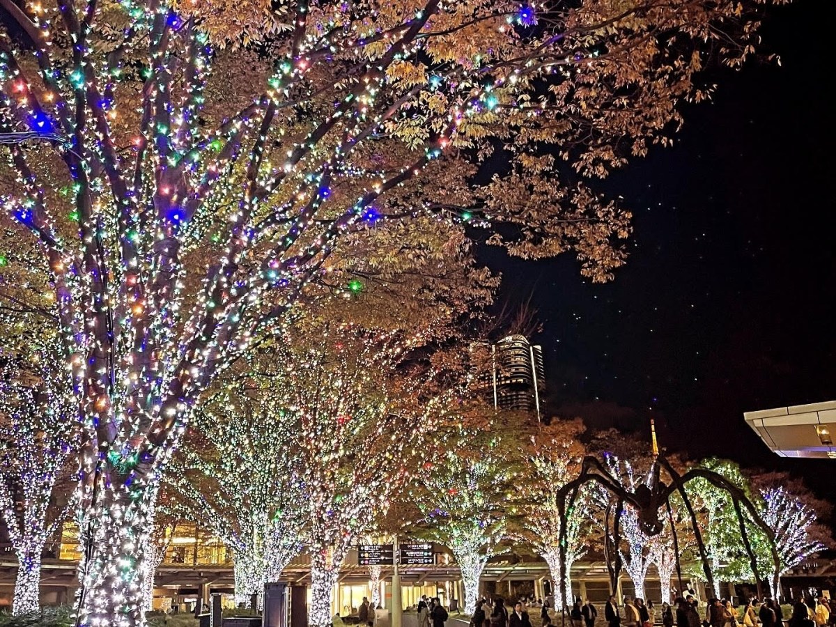 Luci di Natale a Tokyo