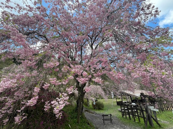 Un viaggio nella storia: il Nakasendo trail
